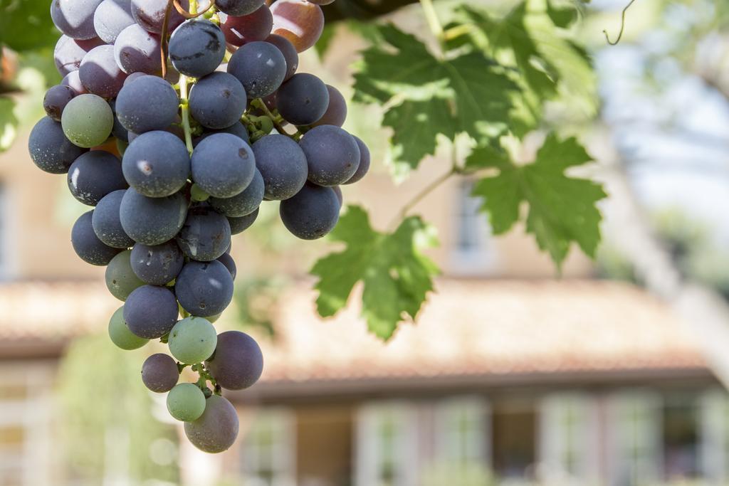 Ca Muretta Relais Bardolino Kültér fotó